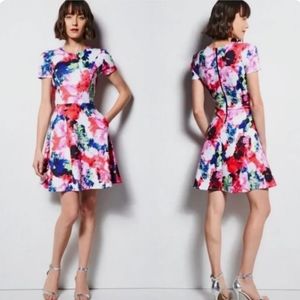 Molly Floral Scuba Dress, Size 4